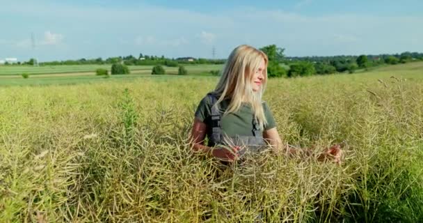 Bereketli Bir Hasat Vaadi Tahıl Ambarını Ağzına Kadar Doldurmayı Verimi — Stok video
