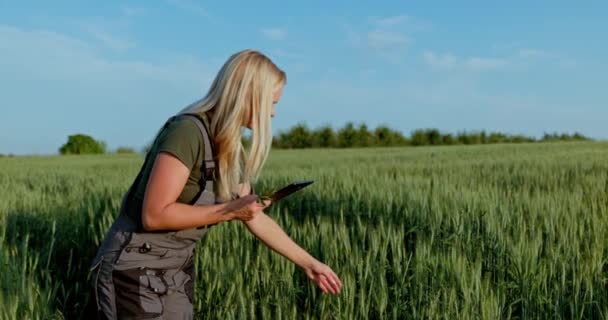 一位专业的女农民一边拿着一块石碑 一边仔细检查几根谷粒 将它们与数字参考进行比较 她评估的质量和数量 — 图库视频影像