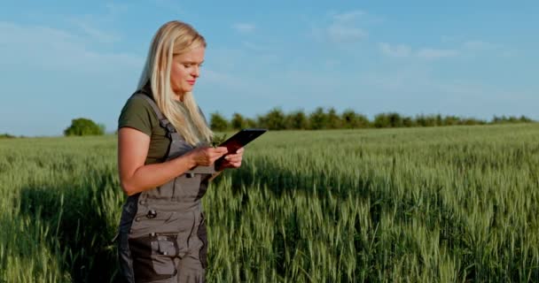 Avec Une Tablette Main Elle Compare Les Grains Récoltés Ceux — Video