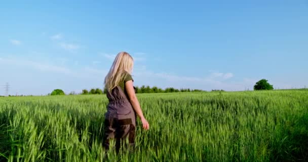 Опыт Спокойствие Профессиональной Женщины Фермера Среди Спелых Пшеничных Полей Восточной — стоковое видео