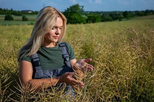 stock image A female farmer in work overalls gently holds a rapeseed plant, checking the maturity of its green and yellowing pods. A rural village and partly cloudy blue sky provide a serene backdrop to the scene