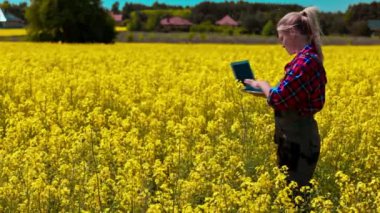 Genç bir kadın, açık mavi gökyüzünün altındaki parlak sarı kolza tohumu tarlasında özenle dizüstü bilgisayarı üzerinde çalışıyor.
