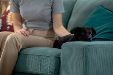 Sevgi dolu sahibinin yanındaki kanepede huzur içinde dinlenen siyah bir köpeğin sergilendiği samimi ve davetkar bir sahne.