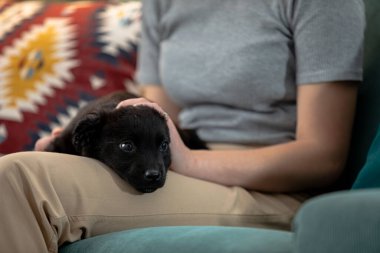 Yürek ısıtan bir sahne, yanında sevimli siyah bir köpek yavrusuyla rahat bir kanepede rahatlayan bir insanı canlandırır.