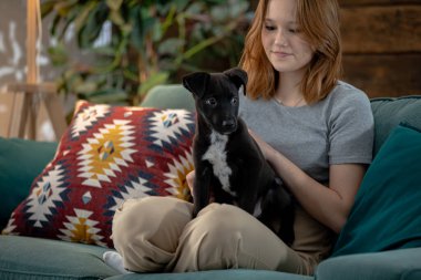 Genç bir kadın sıcak bir oturma odasında tatlı siyah beyaz köpeğiyle kanepede dinleniyor.