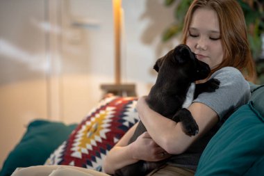 Genç bir kız sevimli bir şekilde neşeli köpeğini kucağına alır sıcak ve sevimli bir yaşam ortamını yakalar.