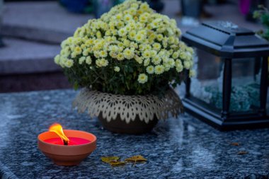 Taş bir yüzey üzerinde yanan bir diya yanında güzel bir çiçek düzenleme huzurlu, huzurlu bir ortam yaratır.