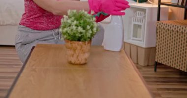 Pembe eldiven giyen bir kadın, küçük bir bitkiyle masayı temizliyor.