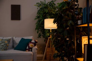 Huzurlu bir oturma odası, rahat bir kanepe, renkli yastıklar, canlı bir bitki, ve sıcak, davetkar bir ışık.