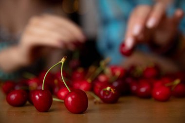 A closeup view of luscious, ripe cherries being harvested by hands, beautifully showcasing their natural allure clipart