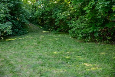 Çimenlerle süslenmiş güzel manzaralı bir patika ve canlı yeşillikler kaşifliğe ve maceraya davetiye çıkarır.