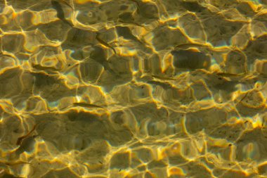 İnce yansımalar ve dalgalarla süslenmiş büyüleyici ve büyüleyici bir altın su manzarası.