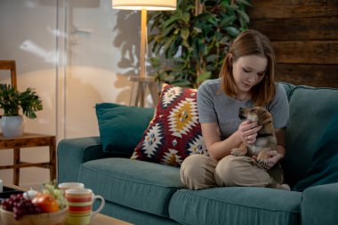 A tranquil indoor atmosphere showcases a woman enjoying quality time with her beloved dog on a teal couch clipart