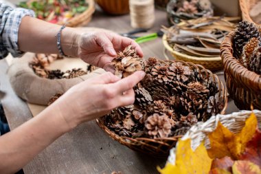 Çam kozalakları ve çeşitli doğal malzemeler kullanarak güzel bir sonbahar dekoru yaratmak için bir eldiven ve çekici bir yaklaşım.