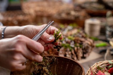 Eller ustalıkla makas kullanarak canlı otları budarlar, bahçıvanlık yeteneklerini gösterir ve sevgi dolu bir ilgi gösterirler.