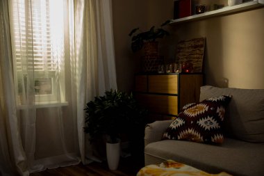 Yumuşak, sıcak ışık, canlı bitkiler ve rahat, rahat bir kanepe ile dolu huzurlu ve huzurlu bir oturma odası.