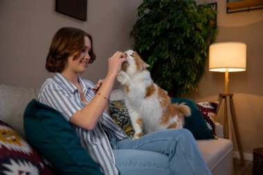 Sıcak bir oturma odasında, bir insan neşeli ve sevimli kedisine sevgi dolu davranır, sıcaklığını ve dostluğunu gösterir.