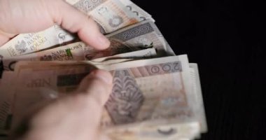 Banknotların ve banknotların çeşitli değerlerini titizlikle sayan iyi odaklanmış ve detaylı bir el çekimi.