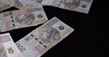 Koyu ahşap bir yüzey üzerine düzgün düzenlenmiş çeşitli banknotların kapsamlı ve ayrıntılı bir görüntüsü.