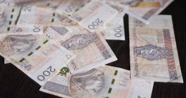 Finansal bolluğu canlı bir şekilde gözler önüne seren renkli ve canlı para birimi notlarına tanık olun.