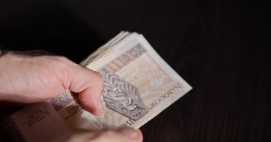 Bir birey, aydınlık bir ortamda farklı banknotları dikkatle sayıyor.