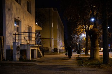 Issız bir figür loş bir cadde boyunca geziniyor, şehir gece atmosferinin özünü mükemmel bir şekilde özetliyor.