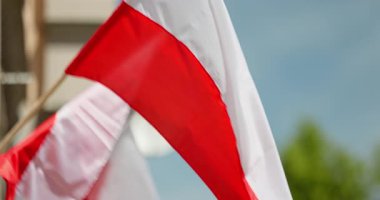 Güzel Polonya bayrakları zarif bir esintide sallanıyor parlak ve berrak mavi gökyüzüne karşı
