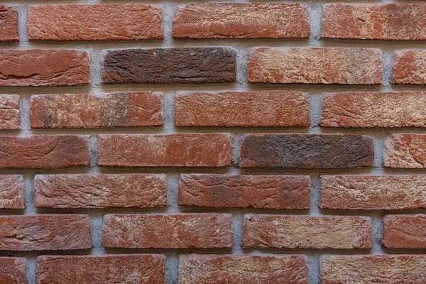 Bu kırsal tuğla duvarın detaylı bir görüntüsü etkileyici bir dizi toprak tonu ve dokuları gösteriyor.