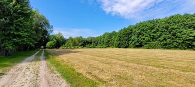 Güzel, sakin bir kırsal kesim bereketli tarlalar ve sık ormanlardan geçen dolambaçlı bir çakıl yolu sergiliyor.