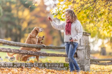 Bir köpek eğitmeni emirlere itaat ettiği için iki köpeğe ödül verir..