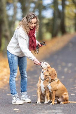 Genç bir kadın iki köpeğini itaatkar davranışları için besliyor..