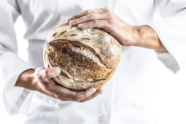 stock image A baker in white work clothes is holding a fresh loaf of bread.