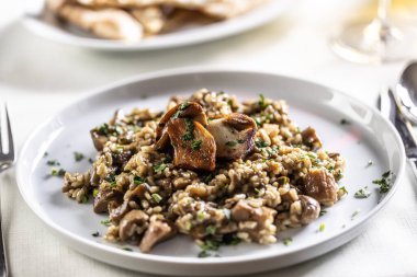 Beyaz tabakta kremalı İtalyan mantarlı risotto..