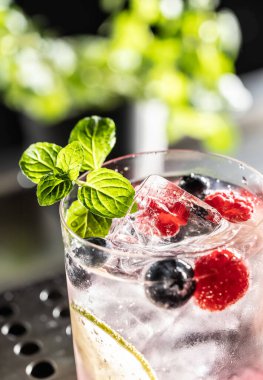 Ahududu, yabanmersini, limon ve taze naneli Pembe Kokteyl Cin Toniği..