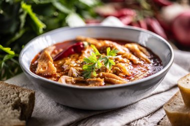 Tasty soup or stew made of beef tripe and spices. Spicy and aromatic tripe soup seasoned with pepper and served with bread. clipart