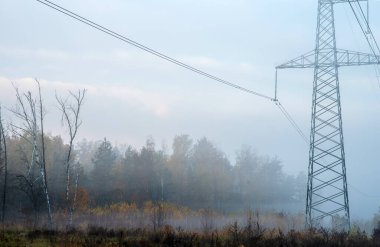 Ormanın arka planına karşı sis içinde yüksek voltaj elektrik Kulesi.