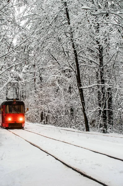Old red tram travels with passengers on route 12 through a snowy forest.