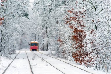 Eski kırmızı tramvay, karla kaplı ormandan uzaklaşıyor. Seçici odak.