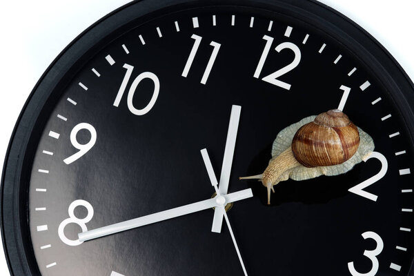 The snail is crawling on the clock face on a white background.
