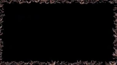 Yarasalar Alfa Şeffaflığı ile Cadılar Bayramı Geçişi Ekranına Uçuyor