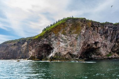 View of Bonaventure island, a protect island in the Gulf of Saint Lawrence on the tip of the Gasp Peninsula in Qubec, Canada during a sunny day