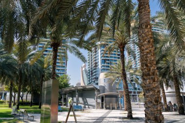 Dubai, Birleşik Arap Emirlikleri - 12 Mart 2023: Güneşli bir günde Zabeel Parkı 'nda yürürken Dubai gökdelenlerinin manzarası