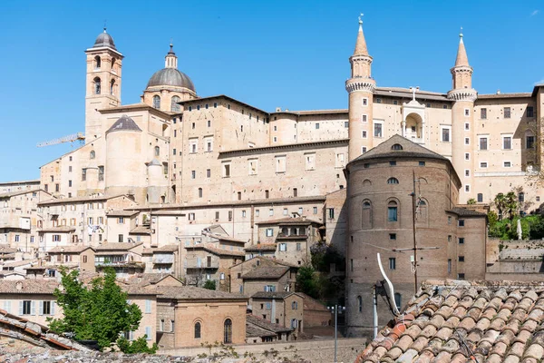 Urbino Talya Nisan 2019 Güneşli Bir Günde Antik Urbino Sokaklarında — Stok fotoğraf