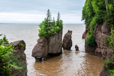 Fundy Körfezi, New Brunswick. Bu körfez dünyanın en yüksek gelgitlerine sahip olmakla ünlüdür.