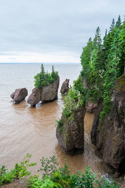 Zátoka Fundy New Brunswick Zátoka Známá Pro Nejvyšší Příliv Odliv — Stock fotografie