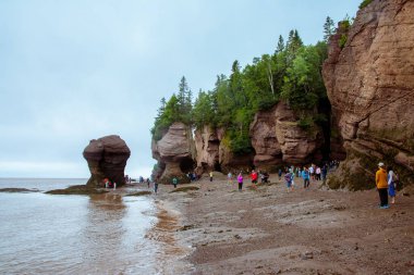 Fundy Körfezi, Kanada - 12 Ağustos 2015: İnsanlar Fundy Körfezi 'nin dibinde yürüyorlar.