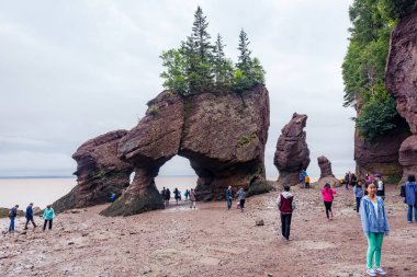 Fundy Körfezi, Kanada - 12 Ağustos 2015: İnsanlar Fundy Körfezi 'nin dibinde yürüyorlar.