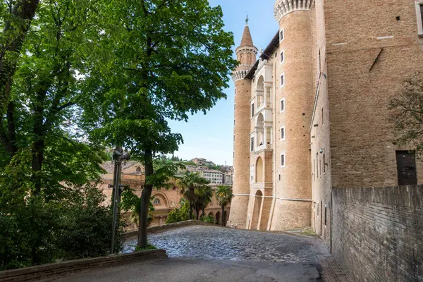 Urbino Italien April 2019 Promenader Genom Antika Gatorna Nära Ducal — Stockfoto