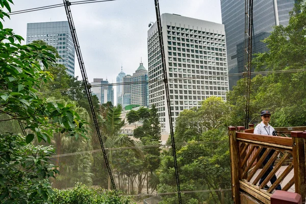 Hongkong Mars 2019 Interiör Hongkong Park Stadspark Omgiven Skyskrapor Solig — Stockfoto