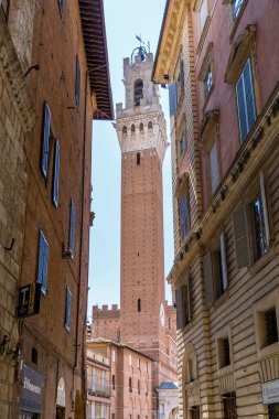 Siena, İtalya-Ağustos 10, 2020: Güneşli bir günde ünlü Piazza del Campo ve Torre del Mangia